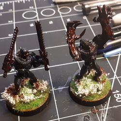 Warbands