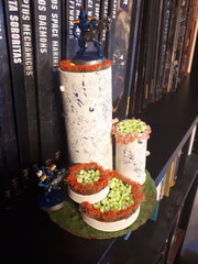 terrain 2020-07-17 12.08.55-1